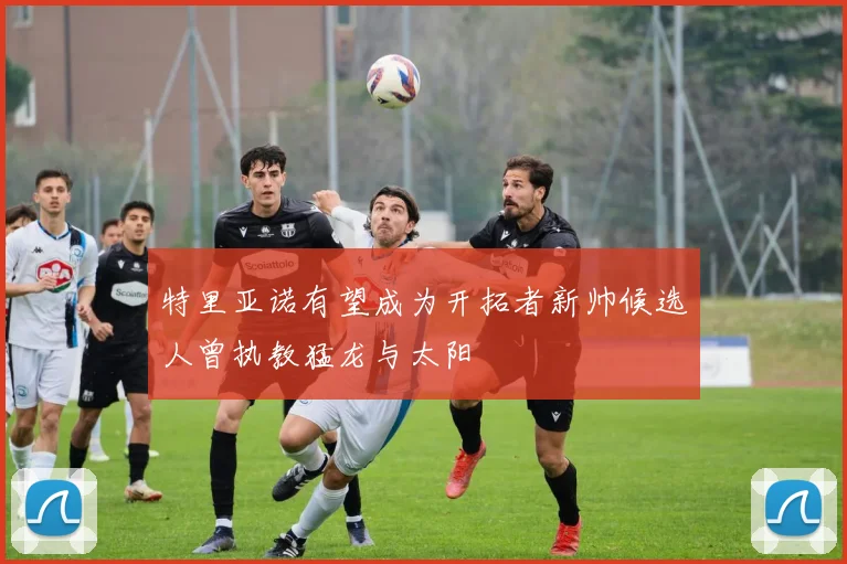特里亚诺有望成为开拓者新帅候选人曾执教猛龙与太阳