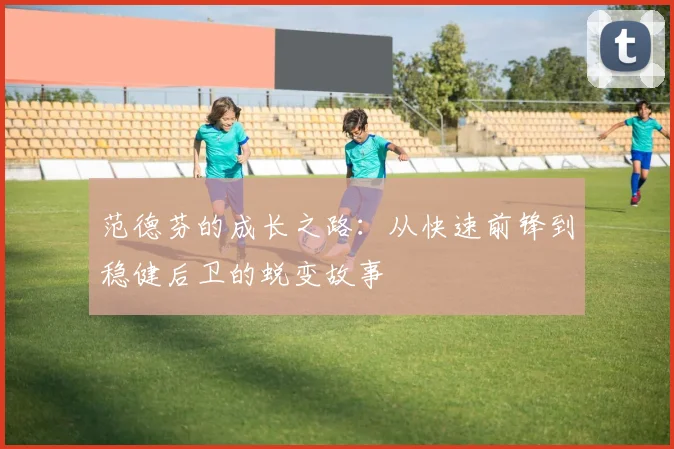 范德芬的成长之路：从快速前锋到稳健后卫的蜕变故事